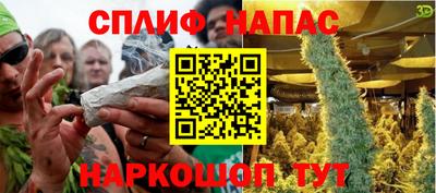шишки Ачхой-Мартан