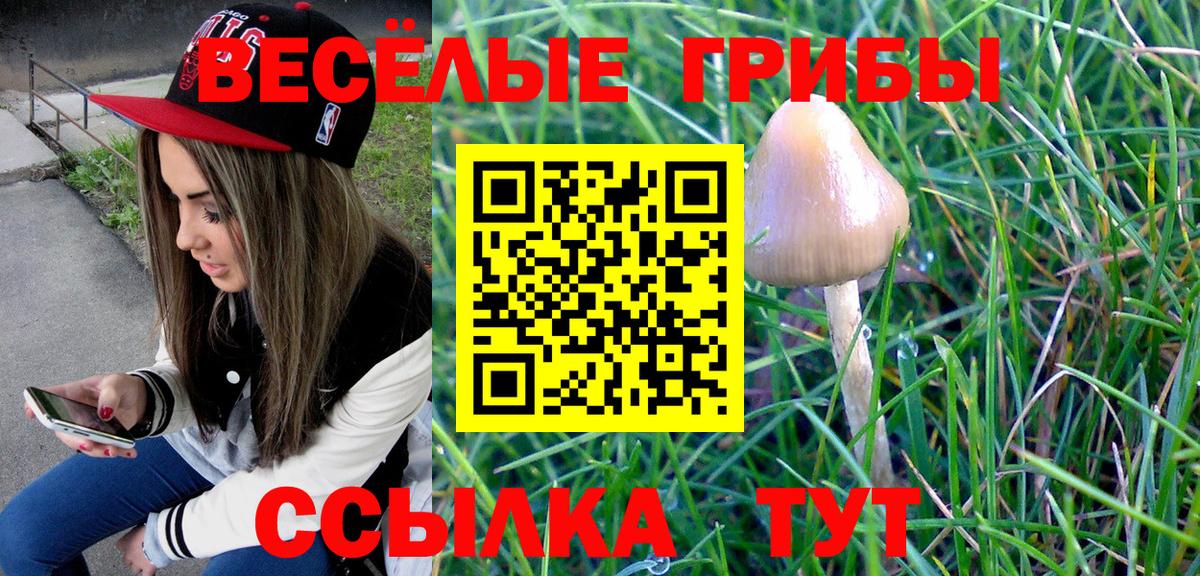 Галлюциногенные грибы Cubensis  Вход с VPN  сколько стоит  Советский  Псилоцибиновые грибы мухоморы 